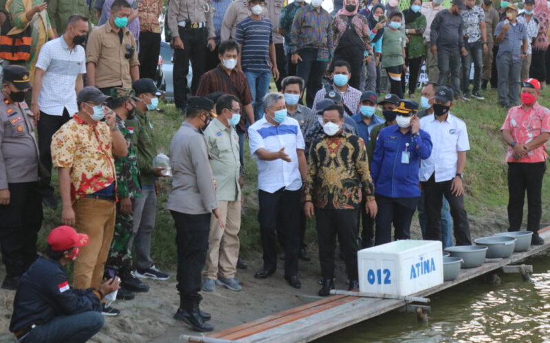 Plt. Gubernur Sulawesi selatan Andi Sudirman Sulaiman didampingi Bupati Pinrang H. Irwan Hamid kunjungan kerja di Kabupaten Pinrang dalam rangka pelepasan ribuan benih udang windu di Waetuoe Kecamatan Lanrisang, Jum’at, 20 Agustus 2021