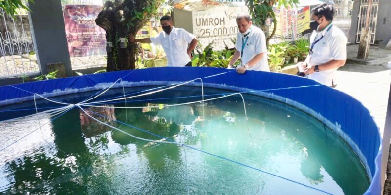 PT Pegadaian Kanwil VI Makassar bekerjasama dengan Econatural membuat pelatihan budidaya Ikan Nila skala rumah tangga.

Pelatihan skala masyarakat tersebut kali ini menyasar warga di Kelurahan Kalegowa Kecamatan Somba Opu