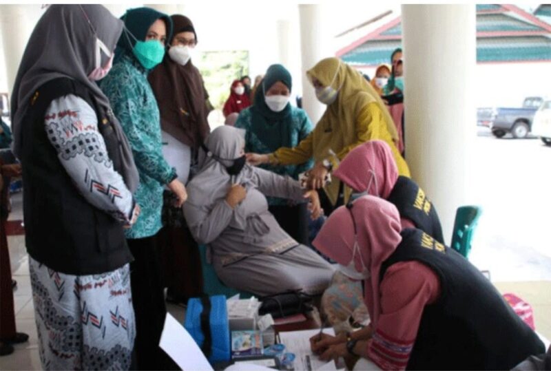 Sosialisasi dan launching vaksinasi Covid-19 untuk ibu hamil yang digelar TP 
PKK Kab. Bulukumba kerjasama Dinas Kesehatan Kabupaten Bulukumba