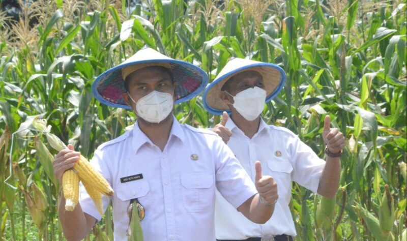 Hari Pangan Sedunia, Bupati Sinjai Sebut Petani Pahlawan Pangan