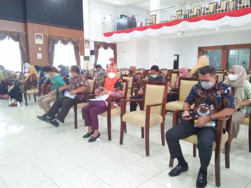 Peserta Advokasi Pelayanan Kesehatan Tradisional di Kabuoaten Sinjai.(humas)