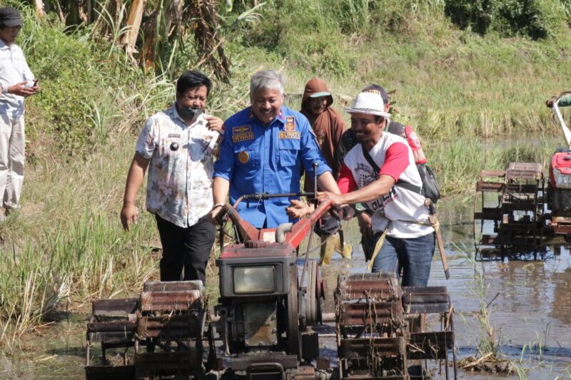 Bupati Pinrang Irwan Hamid menghadiri acara 