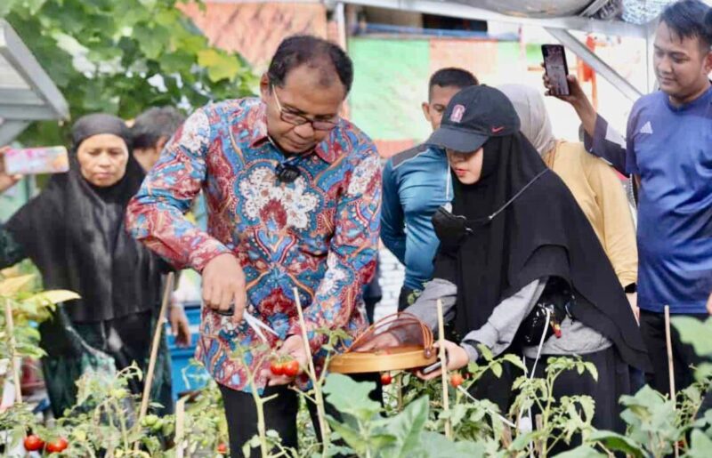 Kunjungi Longwis Haderslave, Wali Kota Danny Panen Tomat dan Pakcoy