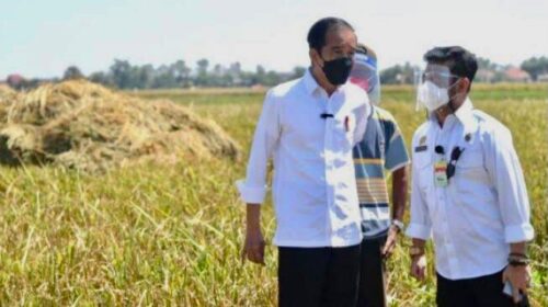 Presiden Jokowi bersama Menteri Syahrul Yasin Limpo