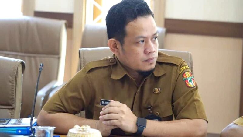 Asisten Administrasi Umum, Muhammad Ilyas