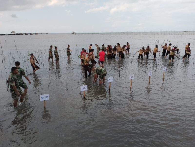 Kodim 1406 Wajo menggelar penanaman manggrov di Pantai Bangsalae, Kelurahan Siwa, Kecamatan Pitumpanua Kabupaten Wajo, Senin (15/05/2023).