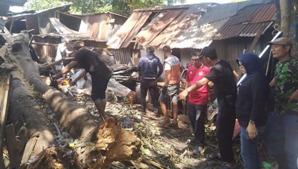 Legislator DPRD Kota Makassar, Muchlis Misbah, Meninjau Langsung Rumah Warga yang Tertimpa Pohon, di Jalan Muh. Yamin, Jum'at 30 Juni 2023