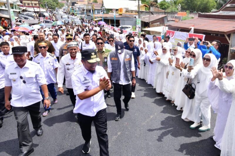Jembatan Lama Pacongkang Rawan Roboh, Pemprov Sulsel, Hadirkan yang Baru, Advertorial, Konstruksi Lengkung Baja
