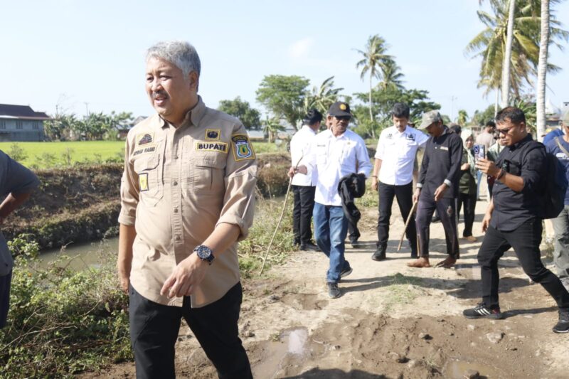 Bupati Irwan Ketika mengikuti Gerakan Pengendalian Hama tikus di Desa Mattunru – tunrue Kecamatan Cempa, Bersama para Kelompok tani setempat