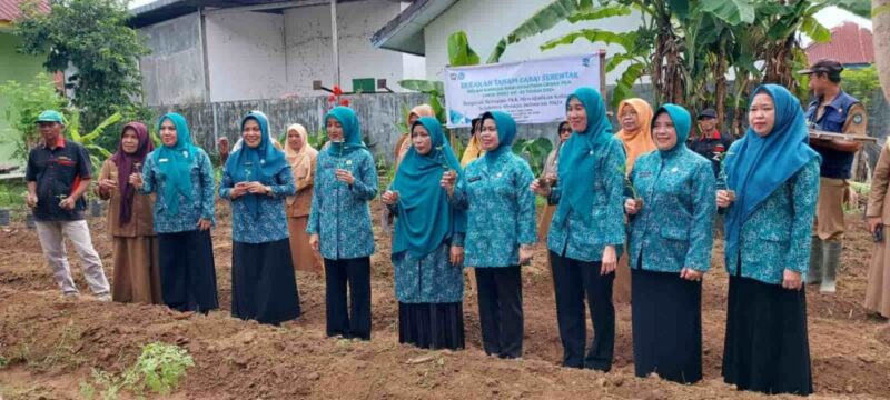 TP PKK Kabupaten Gowa, Melaksanakan Gerakan Tanam Cabai, Dalam Rangka Kesatuan Gerak PKK ke-52, Senin 4 Maret 2024
