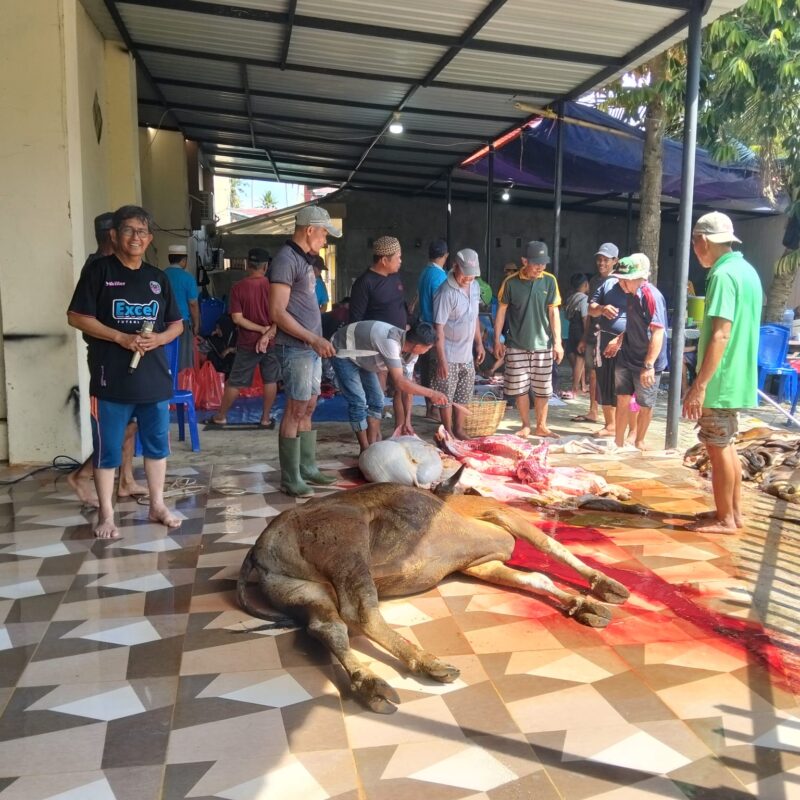Ketua Panitia pembangunan Drs. Syukur Nemba, M.Pd bersama warga terlibat langsung saat prosesi penyembelihan Qurban.