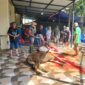 Ketua Panitia pembangunan Drs. Syukur Nemba, M.Pd bersama warga terlibat langsung saat prosesi penyembelihan Qurban.