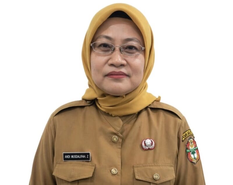 Andi Musdalifa, Kadis Kominfotik kabupaten Wajo.